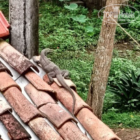 фото из отзыва ID 2639851