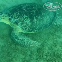 фото из отзыва ID 2632649