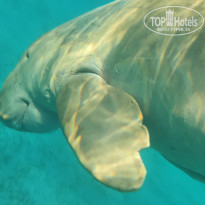 фото из отзыва ID 2632649