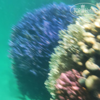 фото из отзыва ID 2632649