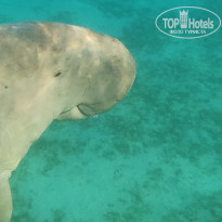 фото из отзыва ID 2632649