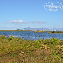 фото из отзыва ID 2636394