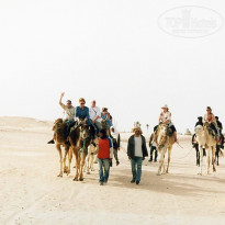 фото из отзыва ID 2638613