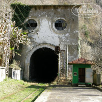 фото из отзыва ID 2637815