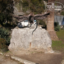 фото из отзыва ID 2637815