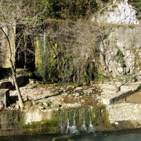 фото из отзыва ID 2637815