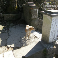 фото из отзыва ID 2637815