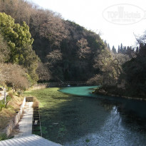 фото из отзыва ID 2637815