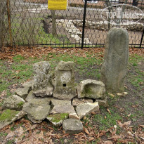 фото из отзыва ID 2637766