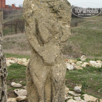 фото из отзыва ID 2637766