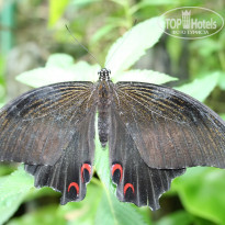 фото из отзыва ID 2638370