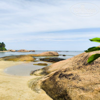 фото из отзыва ID 2639468