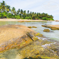 фото из отзыва ID 2639468