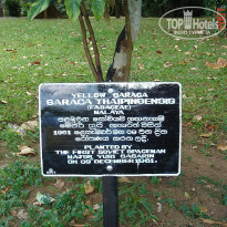 фото из отзыва ID 2638302