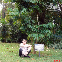 фото из отзыва ID 2638302