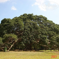 фото из отзыва ID 2638302