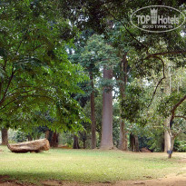 фото из отзыва ID 2638302