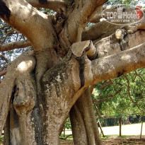 фото из отзыва ID 2638302