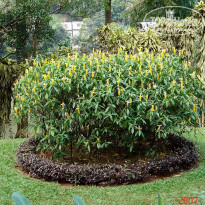 фото из отзыва ID 2638302