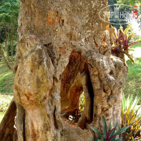 фото из отзыва ID 2638302