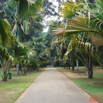 фото из отзыва ID 2638302