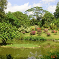 фото из отзыва ID 2638302