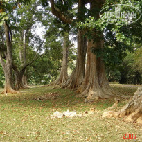 фото из отзыва ID 2638302