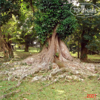 фото из отзыва ID 2638302