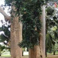 фото из отзыва ID 2638302