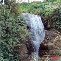 фото из отзыва ID 2638302