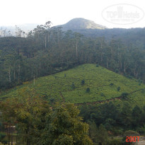 фото из отзыва ID 2638302