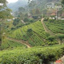 фото из отзыва ID 2638302