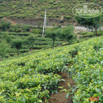 фото из отзыва ID 2638302