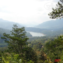 фото из отзыва ID 2638302