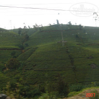 фото из отзыва ID 2638302