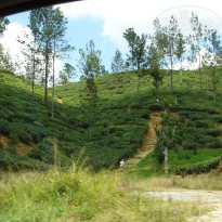 фото из отзыва ID 2638302