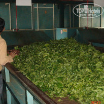 фото из отзыва ID 2638302