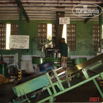 фото из отзыва ID 2638302