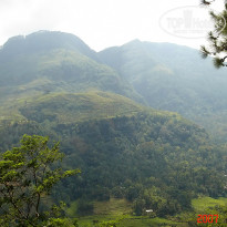 фото из отзыва ID 2638302