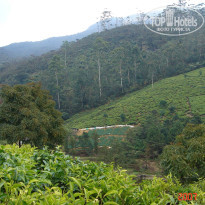 фото из отзыва ID 2638302