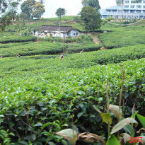 фото из отзыва ID 2638302