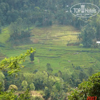 фото из отзыва ID 2638302