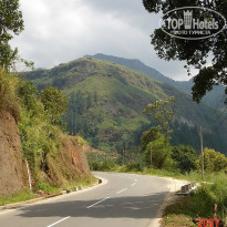 фото из отзыва ID 2638302