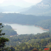 фото из отзыва ID 2638302