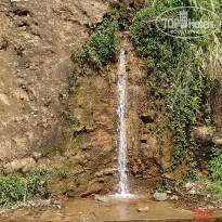 фото из отзыва ID 2638302