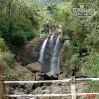 фото из отзыва ID 2638302