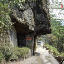 фото из отзыва ID 2638302