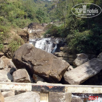 фото из отзыва ID 2638302