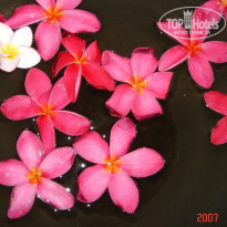 фото из отзыва ID 2638299