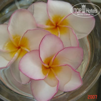 фото из отзыва ID 2638299